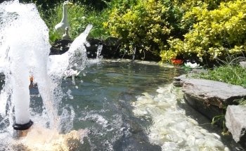 Aquarienservice-Aachen