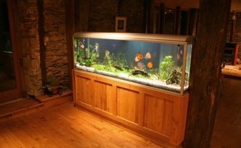 Aquarienservice-Aachen