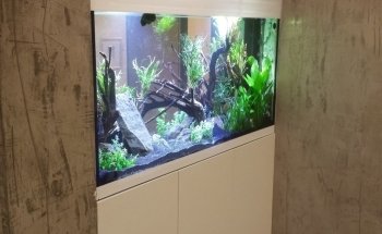 Aquarienservice-Aachen