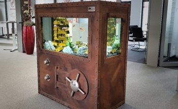 Dein Erlebnis Aquarium - Aquaristik Architektur