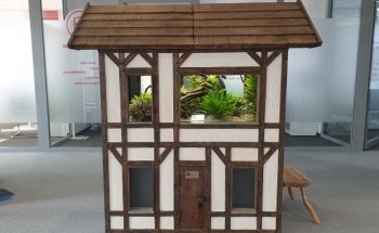 Dein Erlebnis Aquarium - Aquaristik Architektur