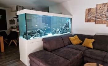 Dein Erlebnis Aquarium - Aquaristik Architektur