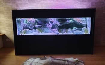 Dein Erlebnis Aquarium - Aquaristik Architektur
