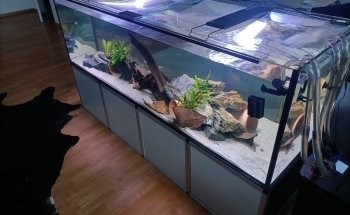 Aquarium logistics Raasch
