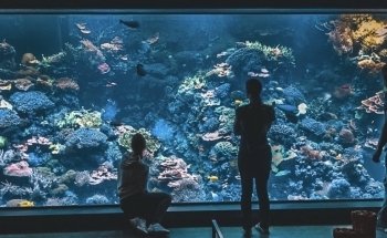 Aquarium logistics Raasch