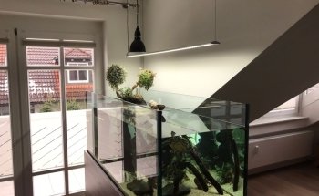 Logística de Acuarios Raasch