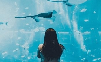 Olacuario - Tienda Online de Acuariofilia
