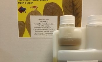 Catappa-Leaves Aquaristik Naturprodukte