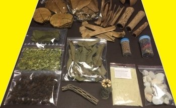 Catappa-Leaves Aquaristik Naturprodukte