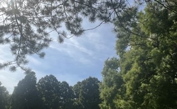 Luisenpark Unterwasserwelt