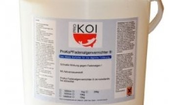 Koi Kontor Reiner | Pro Koi