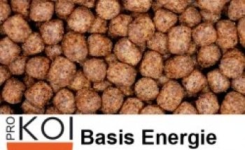 Koi Kontor Reiner | Pro Koi