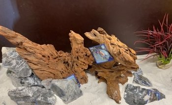 Aquaristik-Teichpflege (kein Produktverkauf)