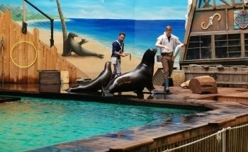 Dolfinarium