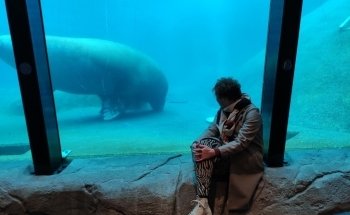 Dolfinarium