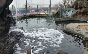 Sea Life Scheveningen