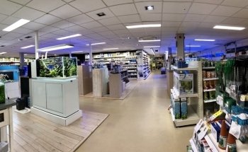 Diebo Pet World