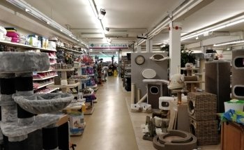 Diebo Pet World
