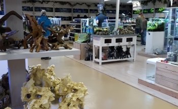Diebo Pet World