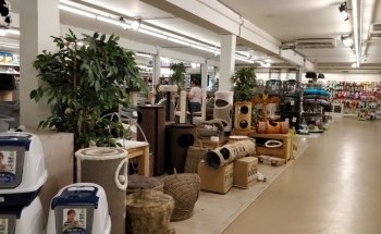 Diebo Pet World
