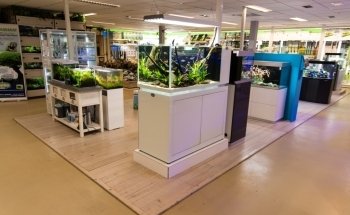 Diebo Pet World