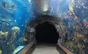 Oceanium