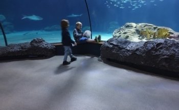 Oceanium