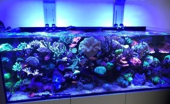 Ocean Store