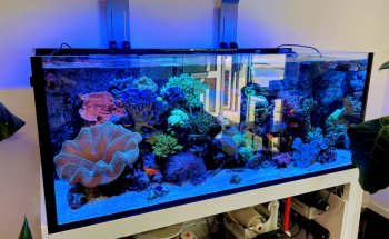 Ocean Store