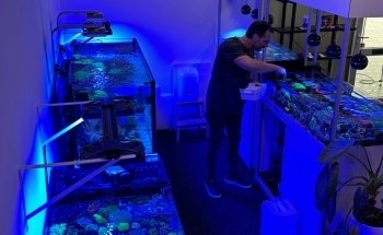 Ocean Store
