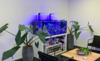 Ocean Store