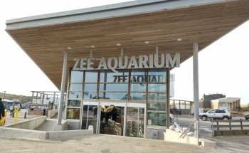 Sea Aquarium Bergen Aan Zee