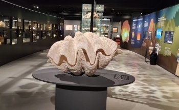 Muzeeaquarium Delfzijl