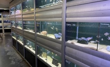 Rifwachter Aquariums