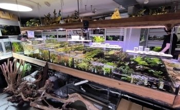 Rifwachter Aquariums