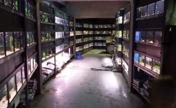 Rifwachter Aquariums