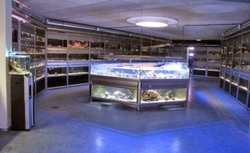 Rifwachter Aquariums