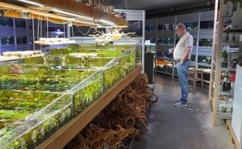 Rifwachter Aquariums