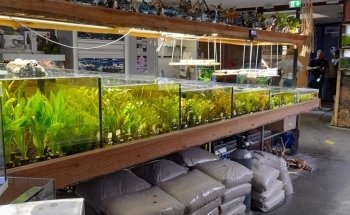 Rifwachter Aquariums