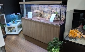 Aquarium House Romberg