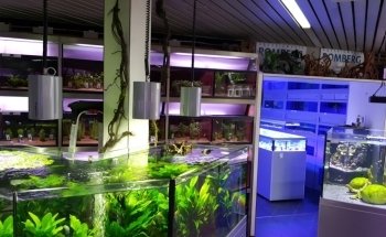 Aquarium House Romberg