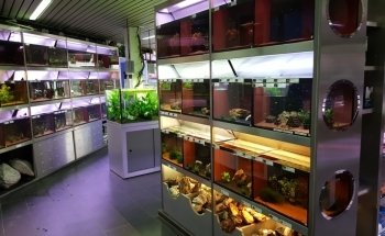 Aquarium House Romberg