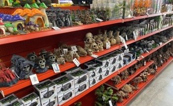 Koicompagnie | vijver- & aquariumvissen | aquarium & vijverbenodigdheden