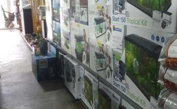Koicompagnie | vijver- & aquariumvissen | aquarium & vijverbenodigdheden