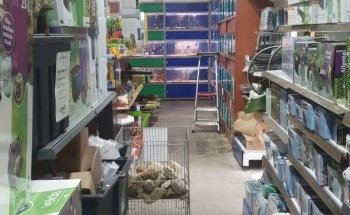 Koicompagnie | vijver- & aquariumvissen | aquarium & vijverbenodigdheden