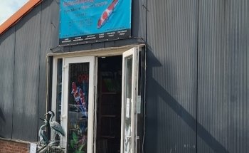 Koicompagnie | pond & aquarium fish | aquarium & pond supplies