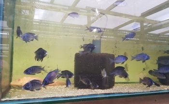 Aquabeek
