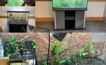 Aquarium Coenen B.V.