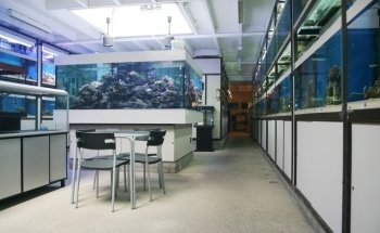 Aquarium Coenen B.V.