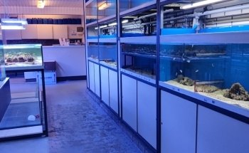 Aquarium Coenen B.V.